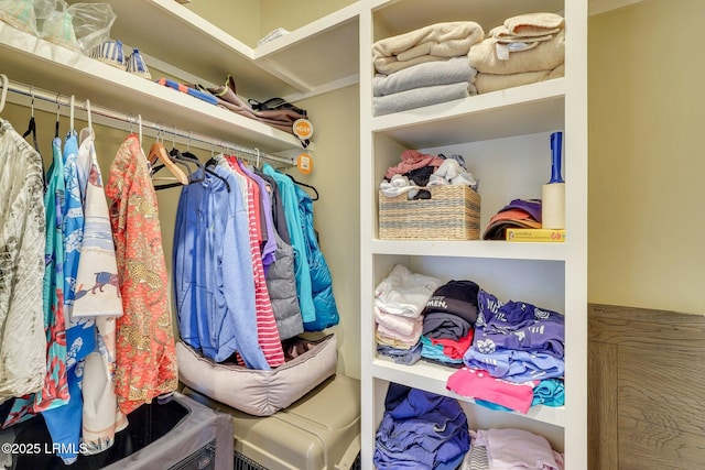 view of spacious closet