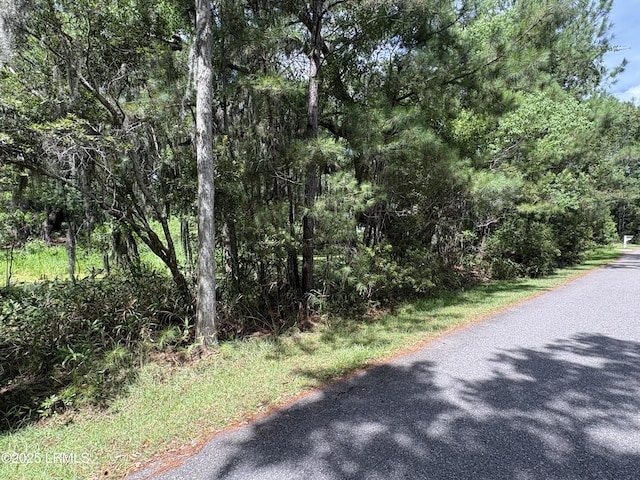14 Grand Oaks Way, Beaufort, SC 29907 - photo 4