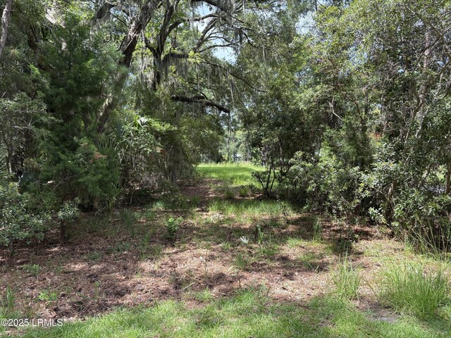 14 Grand Oaks Way, Beaufort, SC 29907 - photo 1