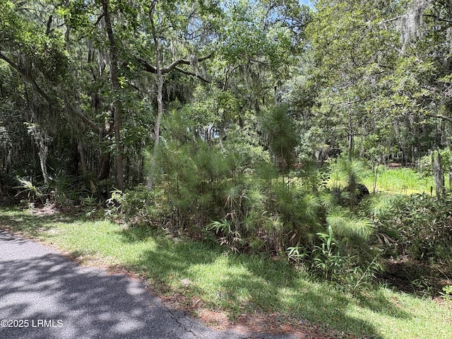 14 Grand Oaks Way, Beaufort, SC 29907 - photo 2