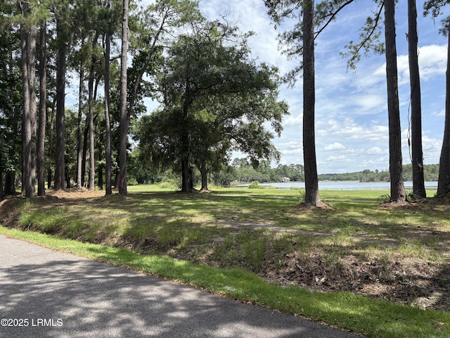 14 Grand Oaks Way, Beaufort, SC 29907 - photo 6