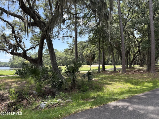 14 Grand Oaks Way, Beaufort, SC 29907 - photo 8