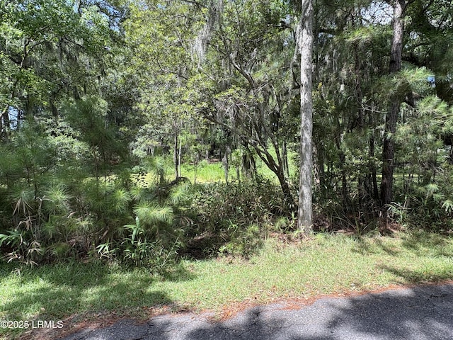 14 Grand Oaks Way, Beaufort, SC 29907 - photo 3