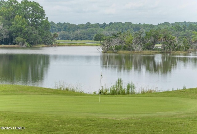 14 Grand Oaks Way, Beaufort, SC 29907 - photo 10