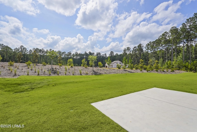 821 Aurora Way, Bluffton, SC 29909 - view of green lawn with a patio