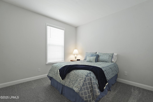 821 Aurora Way, Bluffton, SC 29909 - bedroom featuring multiple windows, baseboards, and carpet flooring