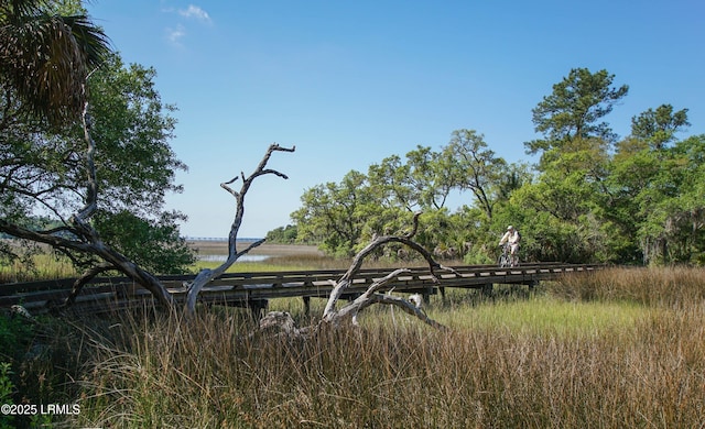 view of local wilderness featuring a water view