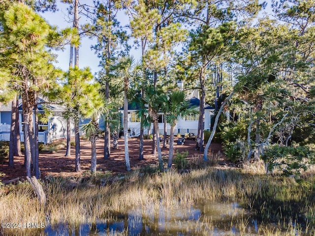 view of yard featuring a water view