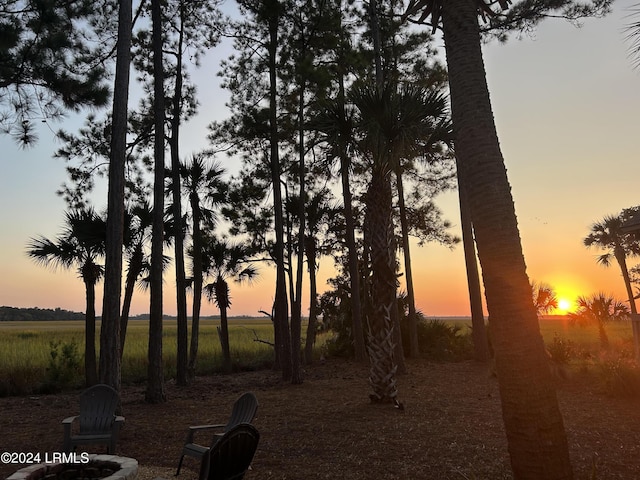 nature at dusk with a rural view