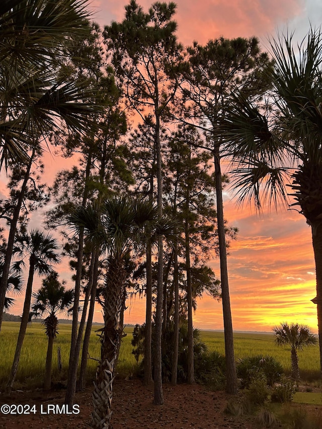 nature at dusk with a rural view