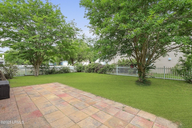 view of yard featuring a fenced backyard and a patio area