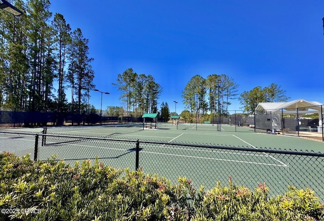 174 Persimmon Cir, Hardeeville, SC 29927 - photo 42