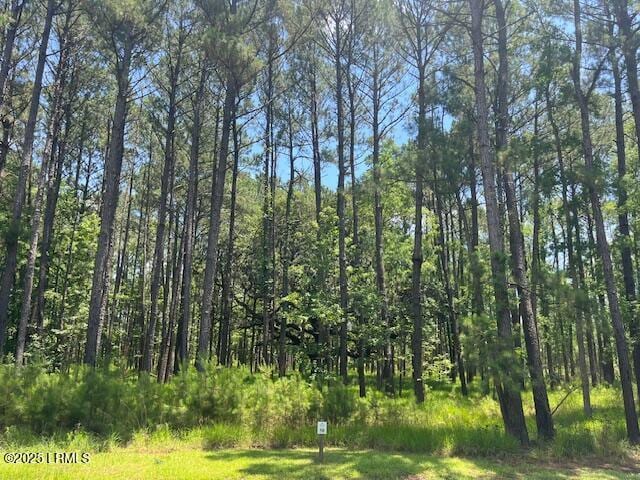 177 Bridle Path Blvd, Hardeeville, SC 29927