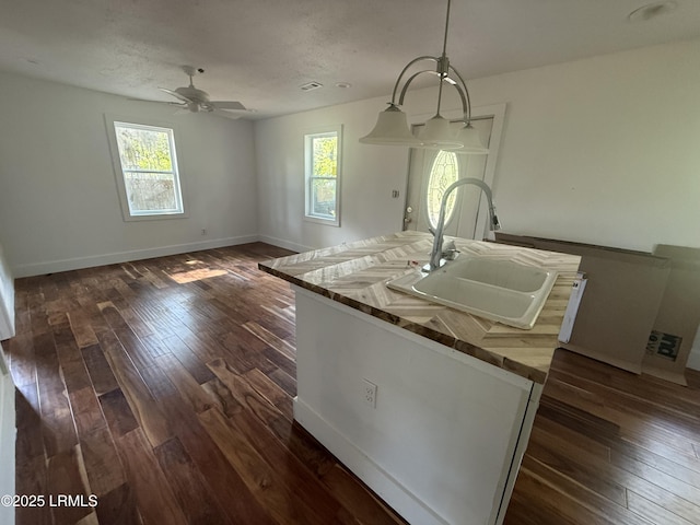 kitchen with a sink, healthy amount of natural light, dark wood-type flooring, and ceiling fan