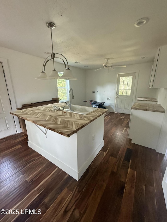 kitchen with a sink, dark wood-style flooring, a ceiling fan, and healthy amount of natural light