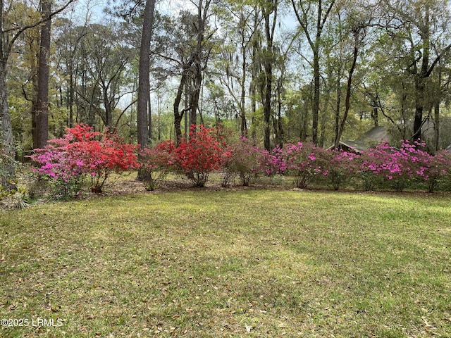 59 Francis Marion Cir, Beaufort, SC 29907 - photo 28