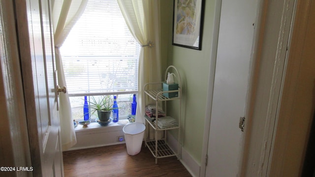 bathroom with hardwood / wood-style floors and a wealth of natural light