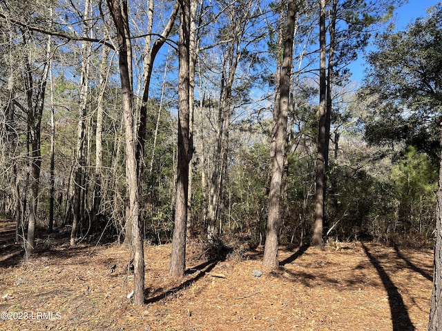 Listing photo 2 for TBD Lowcountry Dr, Ridgeland SC 29936