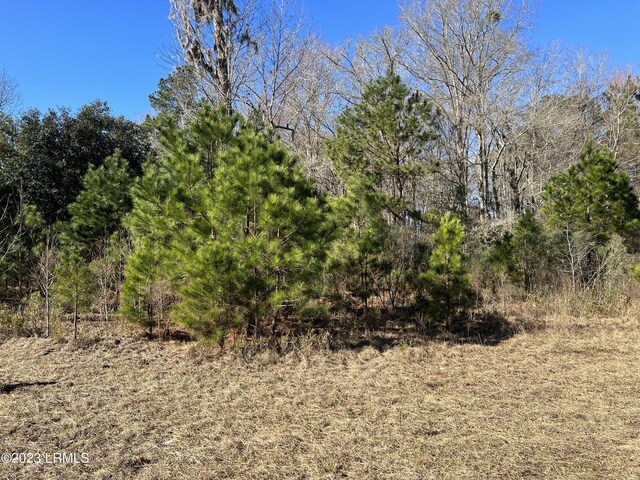 Listing photo 3 for TBD Lowcountry Dr, Ridgeland SC 29936