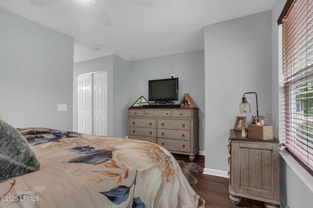 50 Lake Linden Ln Unit 50, Bluffton, SC 29910 - bedroom featuring dark wood-style floors, baseboards, a closet, and ceiling fan