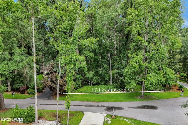 17 Greenwood Ct, Bluffton, SC 29910 - photo 1