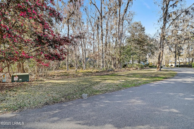 Listing photo 3 for 17 Greenwood Ct, Bluffton SC 29910