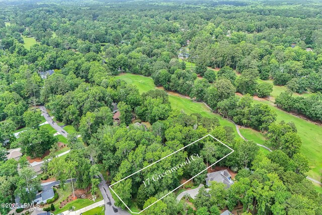 17 Greenwood Ct, Bluffton, SC 29910 - photo 12