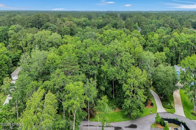 17 Greenwood Ct, Bluffton, SC 29910 - photo 5