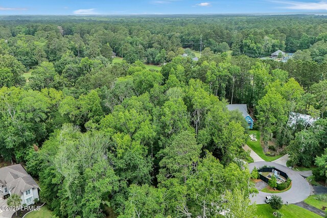 17 Greenwood Ct, Bluffton, SC 29910 - photo 9