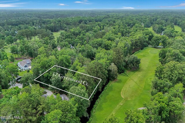17 Greenwood Ct, Bluffton, SC 29910 - photo 14
