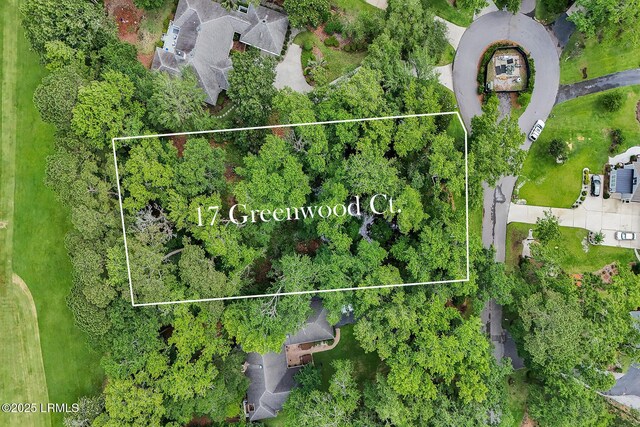 17 Greenwood Ct, Bluffton, SC 29910 - photo 10