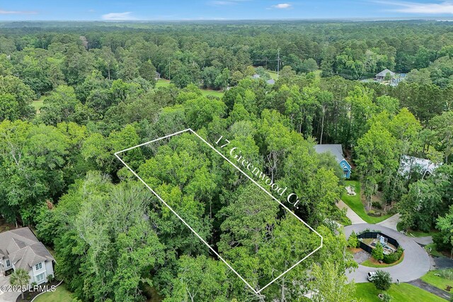 17 Greenwood Ct, Bluffton, SC 29910 - photo 8