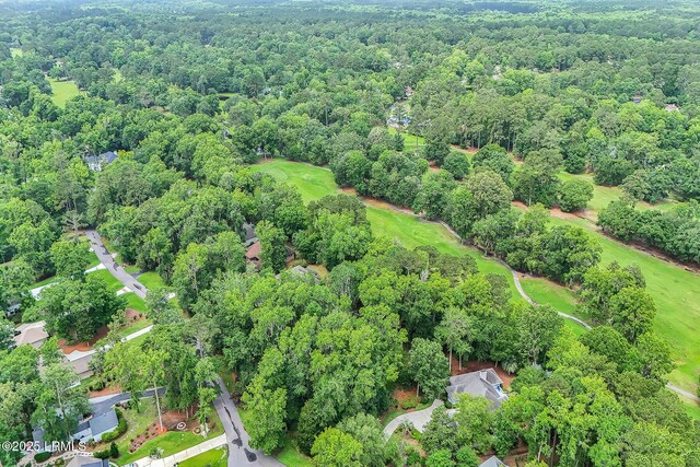 17 Greenwood Ct, Bluffton, SC 29910 - photo 13