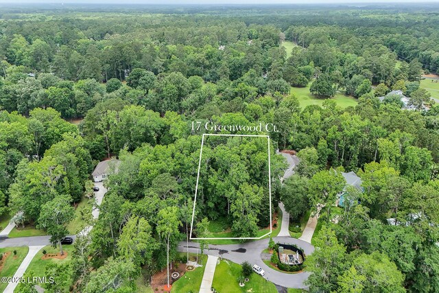 17 Greenwood Ct, Bluffton, SC 29910 - photo 18