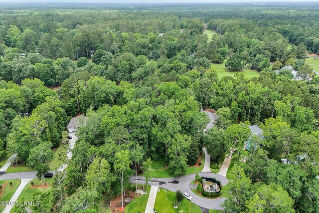 17 Greenwood Ct, Bluffton, SC 29910 - photo 19