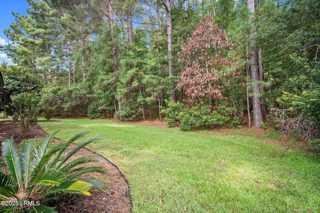 310 Hampton Pl, Bluffton, SC 29909 - photo 36