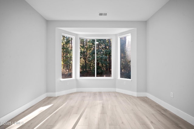 spare room featuring a healthy amount of sunlight and light wood-type flooring