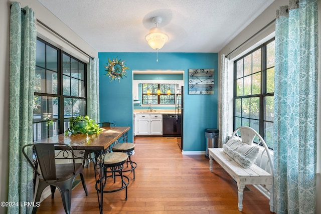 dining room with sink, light hardwood / wood-style floors, and a textured ceiling