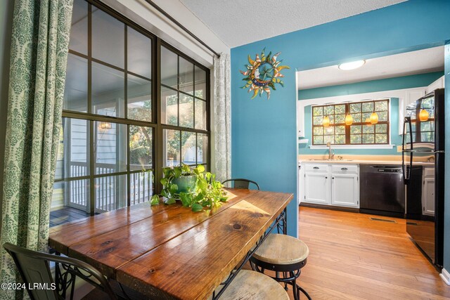 dining area with sink, light hardwood / wood-style floors, and a textured ceiling