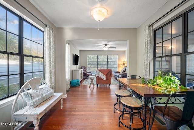 interior space with hardwood / wood-style floors, plenty of natural light, and a textured ceiling