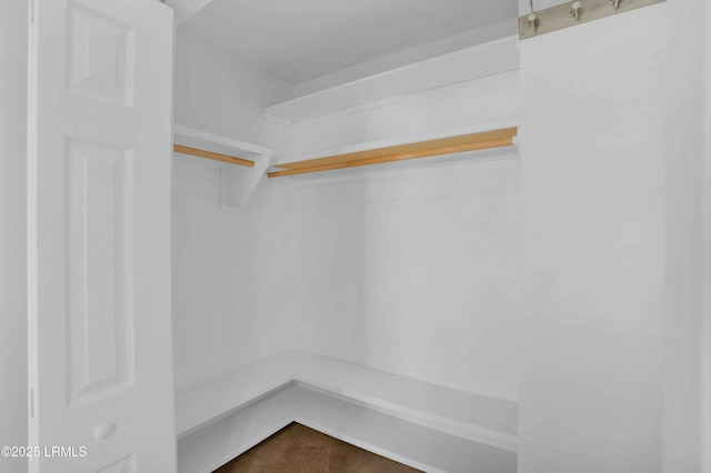 2176 Blakers Blvd, Okatie, SC 29909 - view of spacious closet