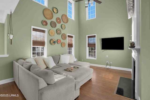 2176 Blakers Blvd, Okatie, SC 29909 - living area featuring a healthy amount of sunlight, dark wood-style floors, a fireplace with flush hearth, and baseboards