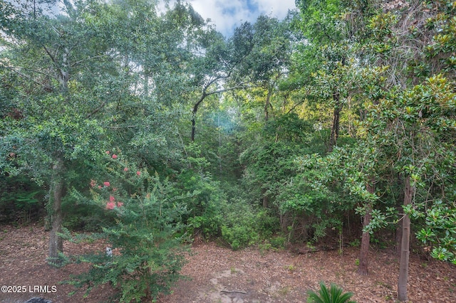 380 Marshland Rd Unit E26, Hilton Head Island, SC 29926 - view of tree filled area