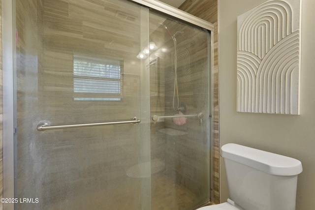 96 Pine Forest Loop, Ridgeland, SC 29936 - bathroom featuring toilet and a stall shower