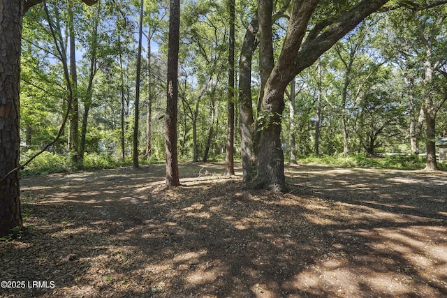 96 Pine Forest Loop, Ridgeland, SC 29936 - view of undeveloped land
