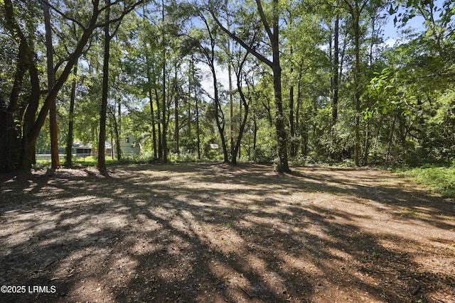 96 Pine Forest Loop, Ridgeland, SC 29936 - view of local wilderness