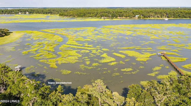 245 De La Gaye Pt, Beaufort, SC 29902 - photo 5