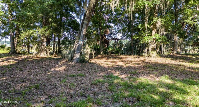 245 De La Gaye Pt, Beaufort, SC 29902 - photo 15