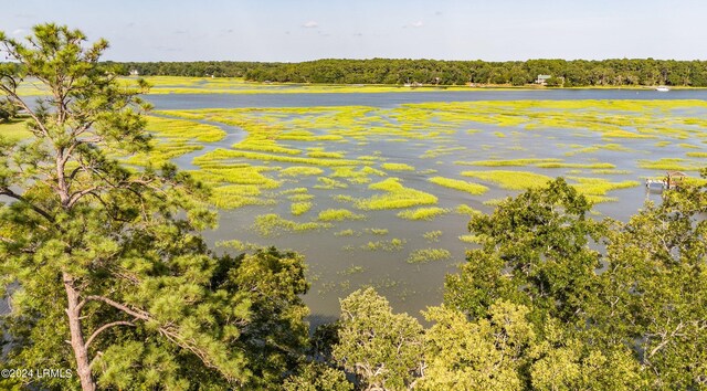 245 De La Gaye Pt, Beaufort, SC 29902 - photo 6