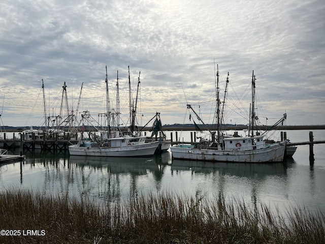 3 Veridian Park E, Beaufort, SC 29907 - dock area featuring a water view